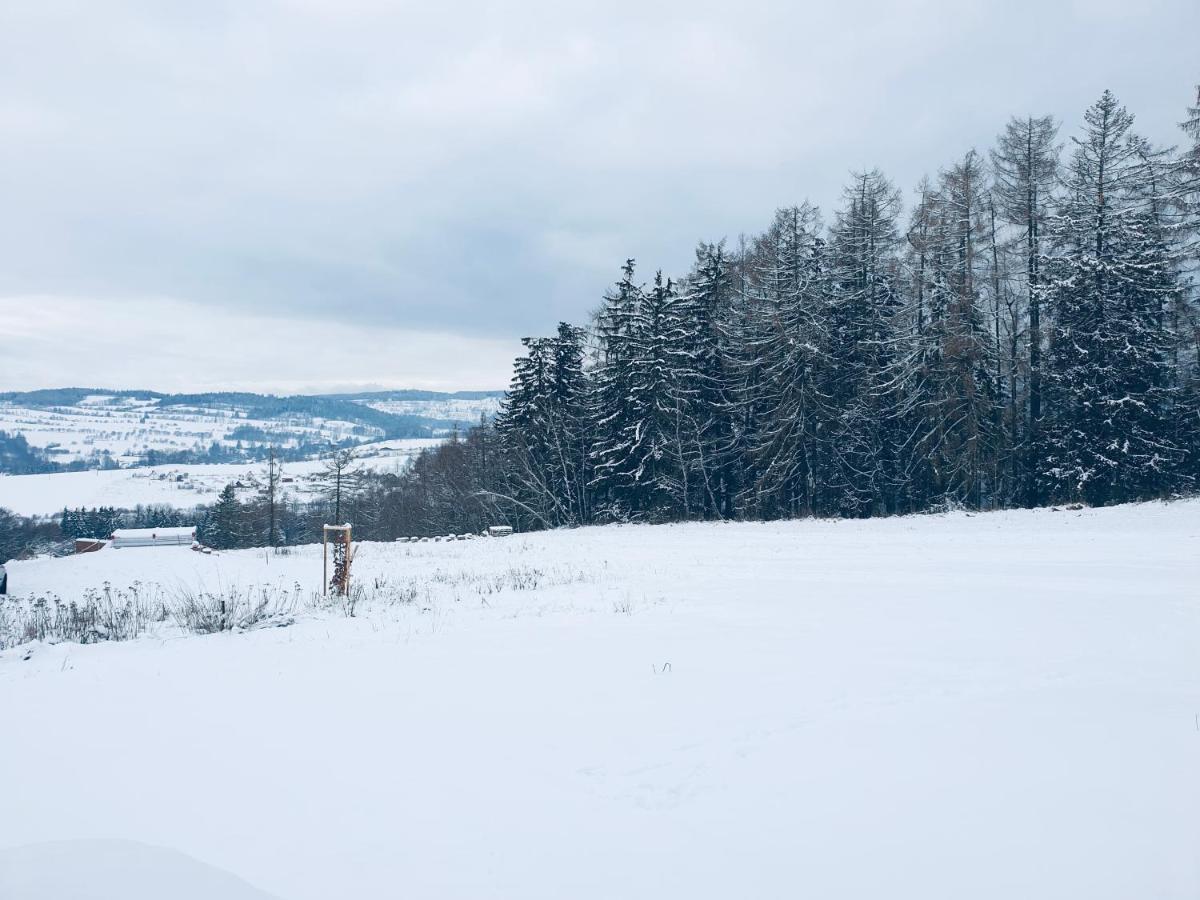 Apartmán U Sedmikrásky Vaclavov u Bruntalu Exterior foto